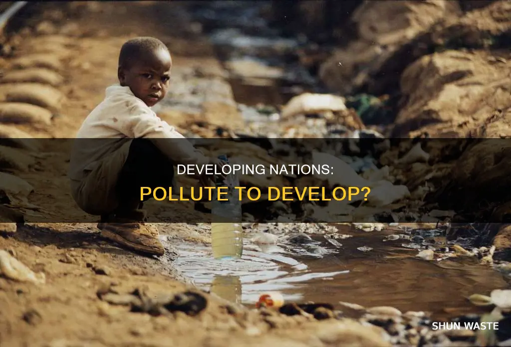 should developing countries be allowed to pollute