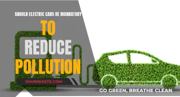 Electric Cars: Pollution Solution or Mandatory Evolution?