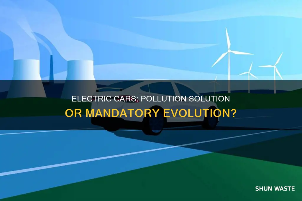 should electric cars be mandatory to reduce pollution