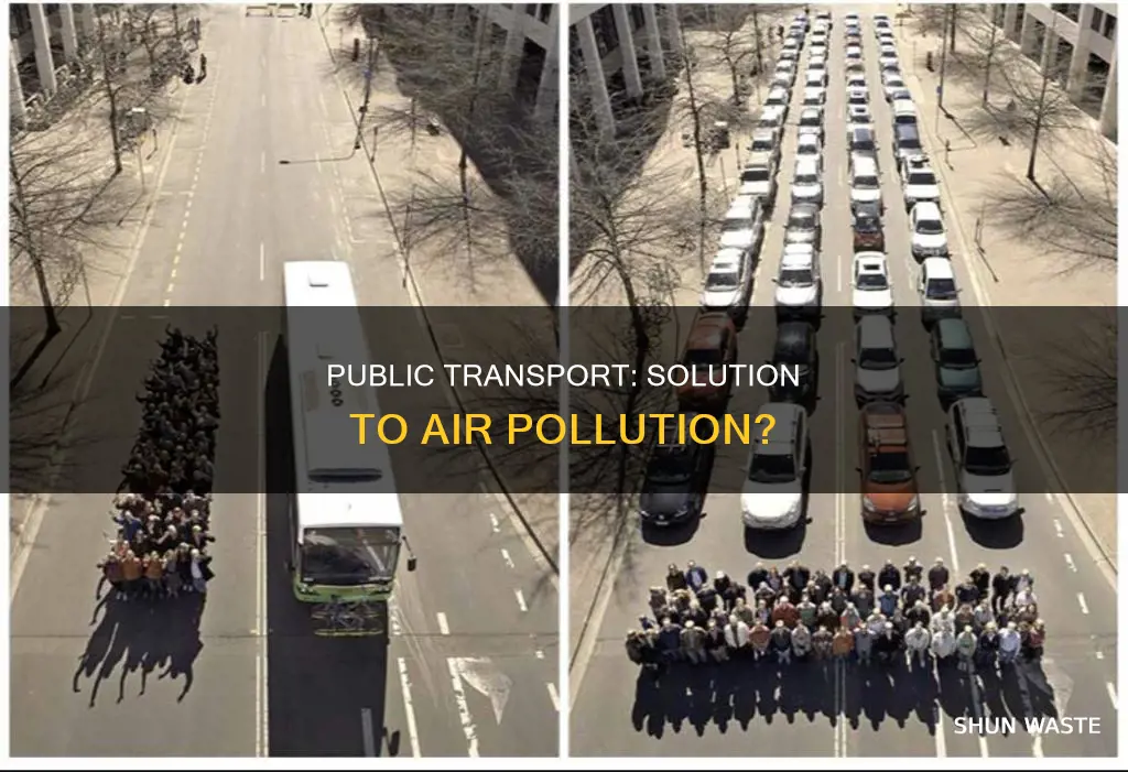 should everyone travel by public transport to reduce air pollution