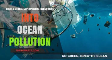 Superpowers: Ocean Pollution's Last Stand?