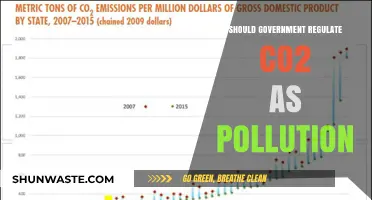 Governments Must Act: CO2 is Pollution