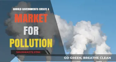Governments: Create a Market for Pollution?