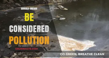 Grease Pollution: Is It Time to Change Our Perspective?