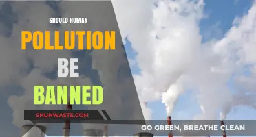 Human Pollution: Should We Banish It?