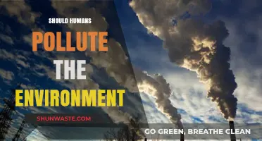 Human Impact: Pollution and Our Future