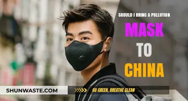 Traveling to China? Bring a Pollution Mask