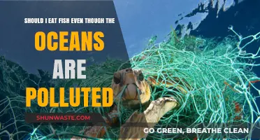 Fish Consumption: Ocean Pollution's Impact