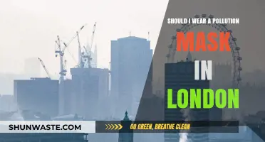 Breathing Easy: Do Londoners Need Pollution Masks?