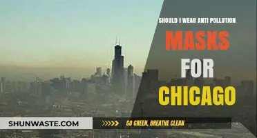 Anti-Pollution Masks: Necessary in Chicago?