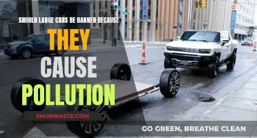 Green Revolution: Banning Big Cars for a Cleaner Future?