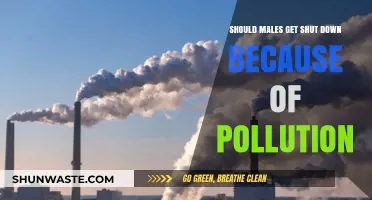 Male Pollution: Is Shutting Down the Answer?