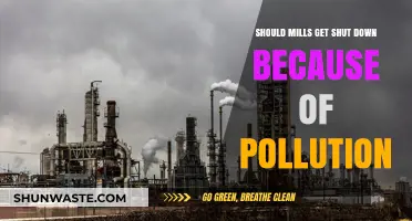 Shutting Mills: Pollution Solution or Economic Disaster?