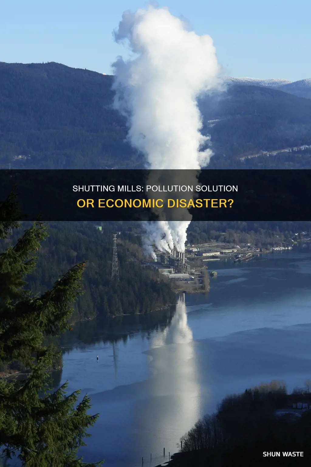 should mills get shut down because of pollution