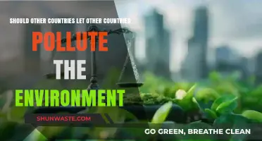 Pollution Without Borders: Who Gets to Decide?