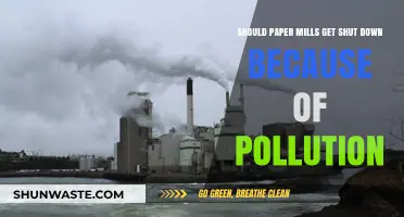 Paper Mills: Shut Down or Clean Up?