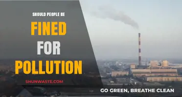 Pollution's Price: Should We Fine People for Their Impact?