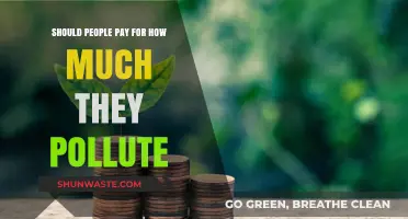 Pollution Tax: Who Should Pay for the Damage?