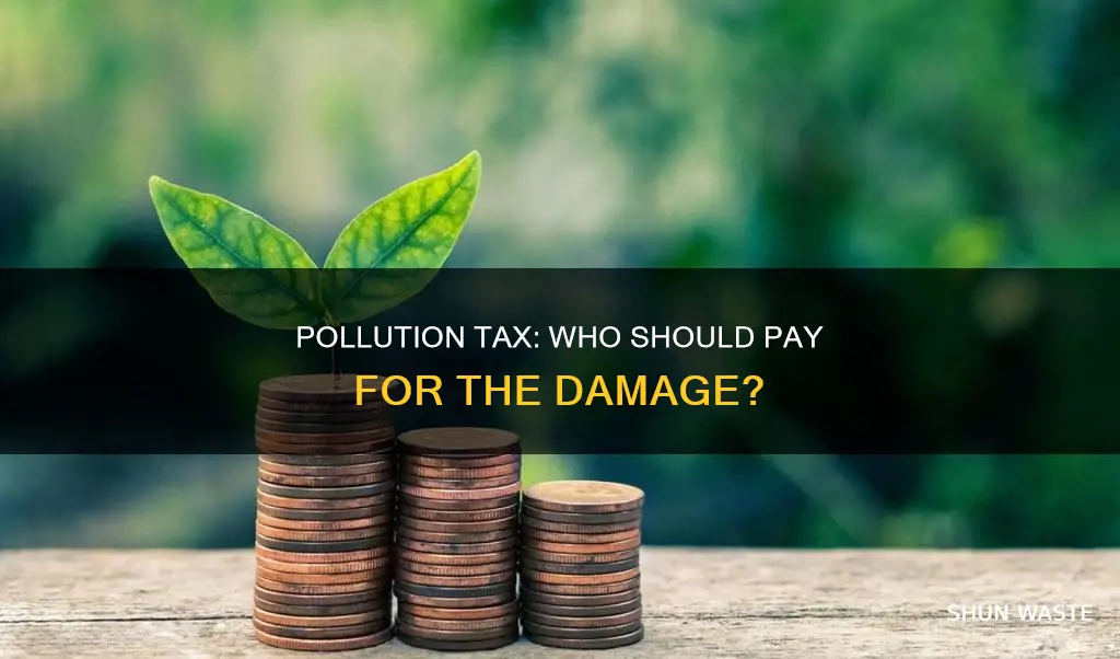 should people pay for how much they pollute