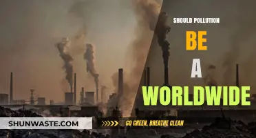 Pollution: A Global Concern or Individual Battle?