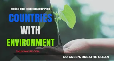 Global Responsibility: Should Wealthy Nations Aid Poorer Countries' Environmental Struggles?