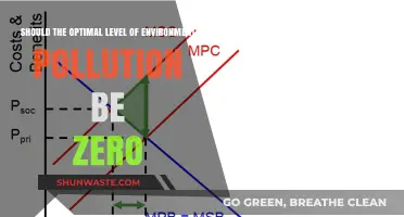 Aiming for Zero Pollution: Is It Possible?