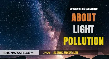 Light Pollution: A Dark Concern for Our Future