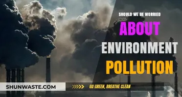 Environmental Pollution: What's the Real Danger?