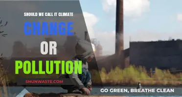 Climate Change vs Pollution: What's in a Name?