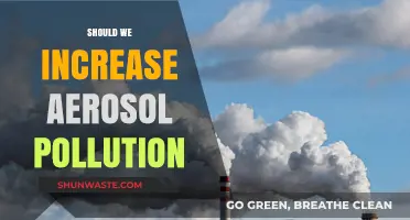 Aerosol Pollution: Should We Increase It?