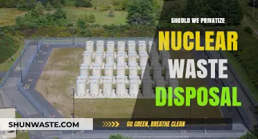 Should We Privatize Nuclear Waste Disposal?