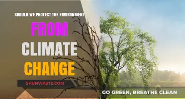 Protecting Our Planet: The Urgent Need to Combat Climate Change