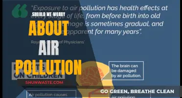 Air Pollution: A Concern or Just a Passing Cloud?
