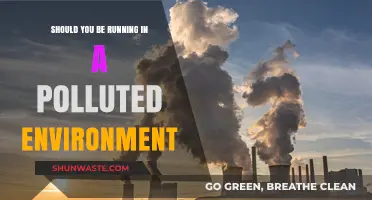 Running in Polluted Environments: Safe or Not?