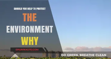 Why Protecting the Environment is Your Responsibility: A Call to Action