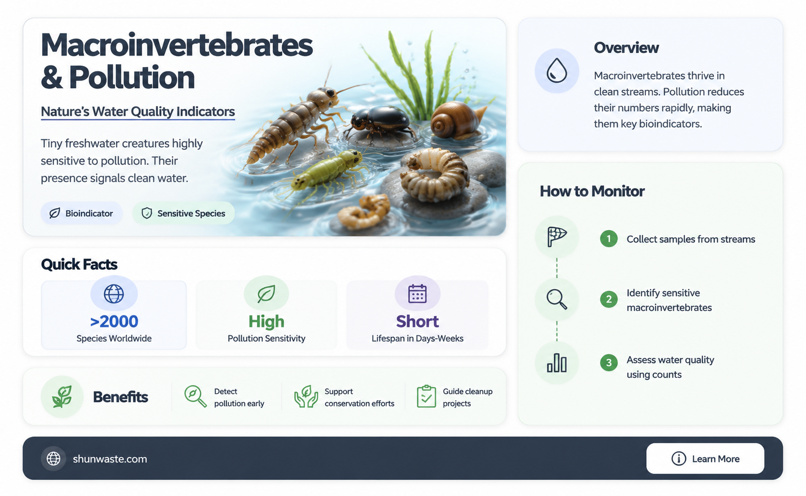 are macroinvertrvrae pollution intolerant