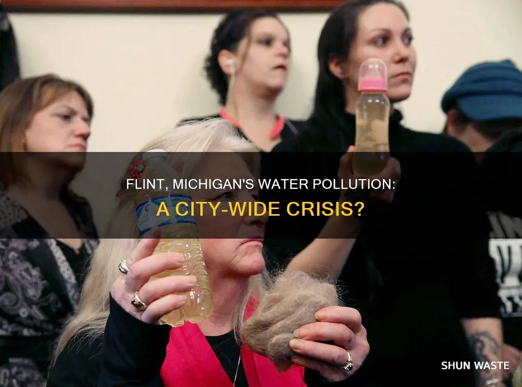 was all of flint michigan affected by water pollution