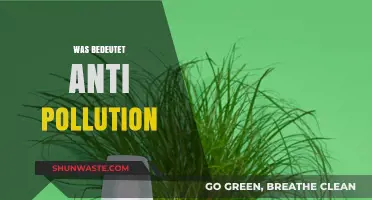Anti-Pollution Maßnahmen: Was Bedeutet das?
