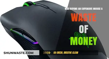 Expensive Mouse Purchase: Worth the Investment or Waste of Money?