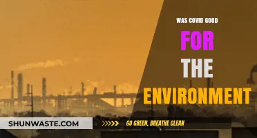 COVID's Paradox: Environmental Gains Amidst Global Pandemic Challenges