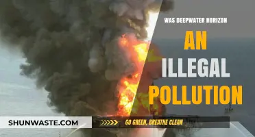 Deepwater Horizon: Criminal Pollution or Corporate Negligence?