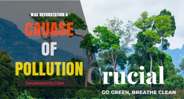 Deforestation's Impact: Understanding the Pollution-Forest Connection
