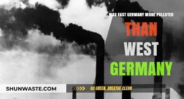 The Pollution Divide: East vs West Germany