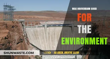 Hoover Dam's Environmental Impact: A Sustainable Legacy or Ecological Dilemma?