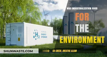 Industrialization's Environmental Impact: Progress or Planetary Peril?