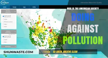 American Society's Pollution Fight: What's Being Done?