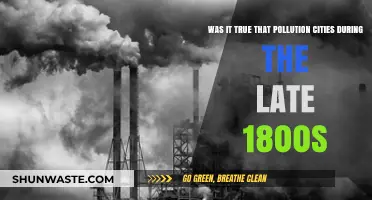 Industrial Revolution's Dark Legacy: Pollution in Cities