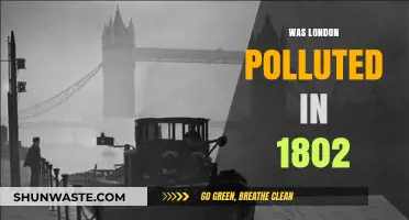 London's Pollution Crisis in 1802: A Historical Perspective