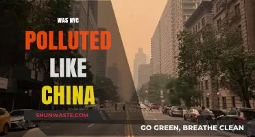 The Dark Days of NYC: Pollution Crisis
