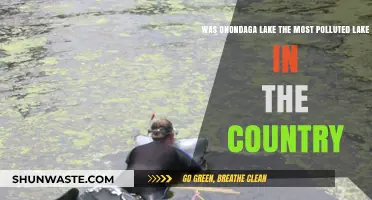 Onondaga Lake: America's Most Polluted Waters?